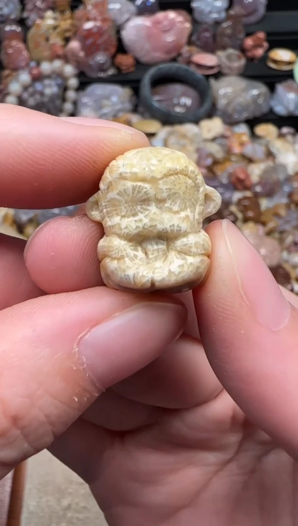 颈饰未镶嵌硅化珊瑚（珊瑚玉）527