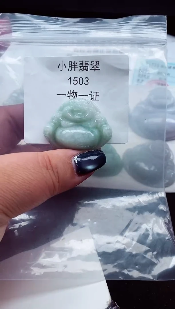 颈饰未镶嵌翡翠缅甸天然A货翡翠1503