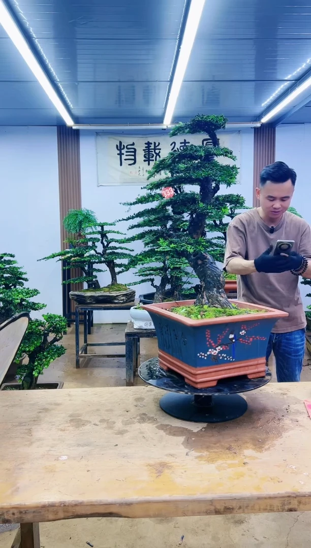 00000000000000000000