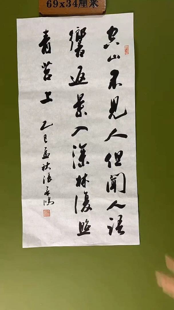 书法书法 张若鸿 尺寸69cm*34cm