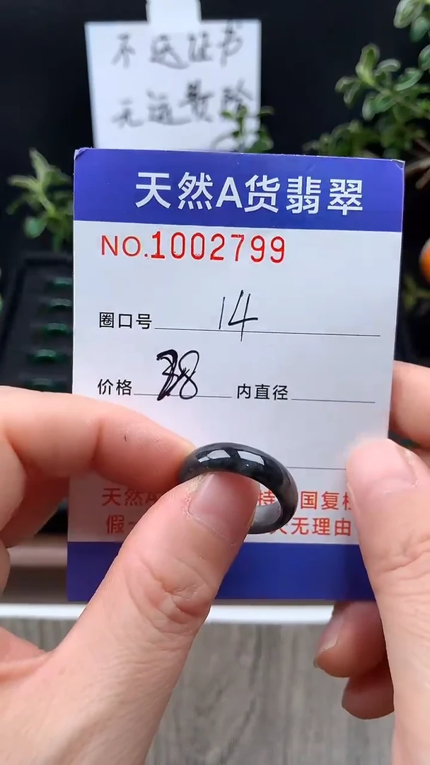 未镶嵌戒指翡翠14#