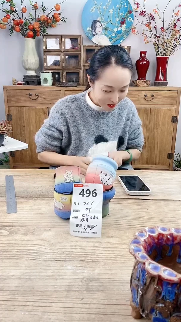 【闪购商品】红陶496