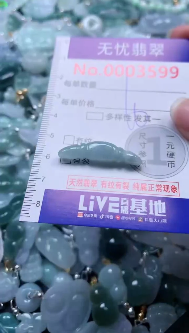 颈饰未镶嵌翡翠3599