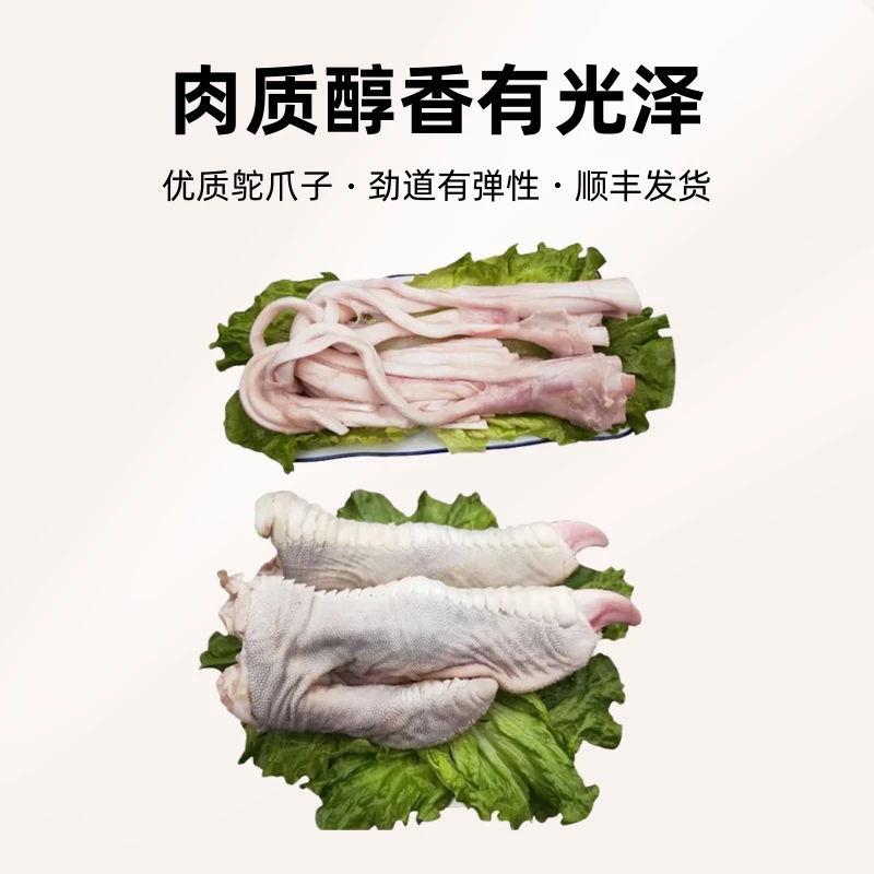 加筋鸵鸟爪顺丰包邮新鲜美味食材