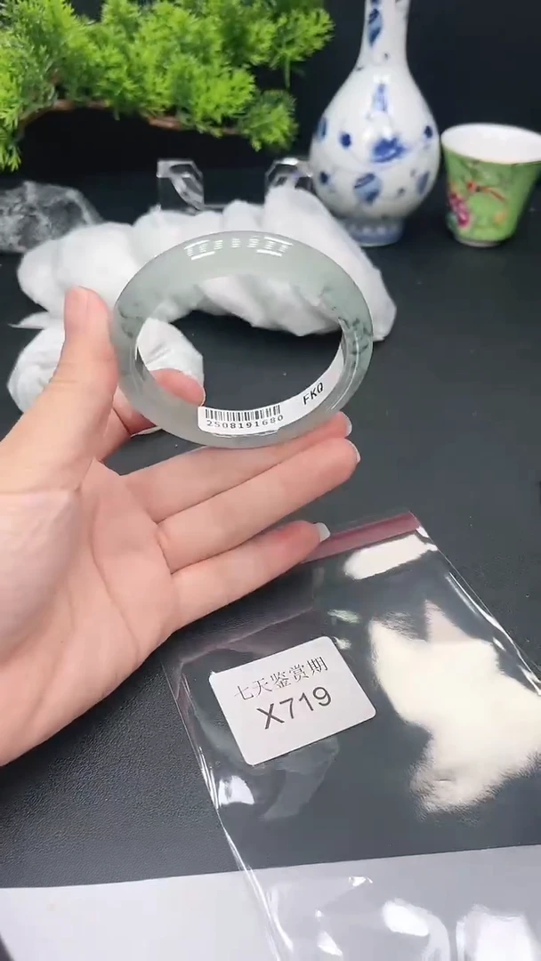 未镶嵌手镯翡翠719