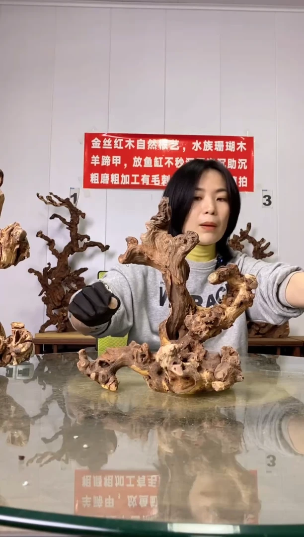 【闪购商品】木23金丝红木 羊蹄甲