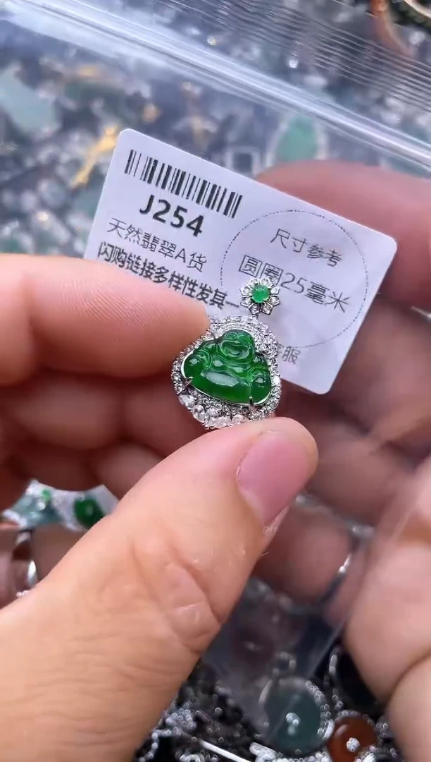 【闪购商品】翡翠颈饰未镶嵌J254吊坠