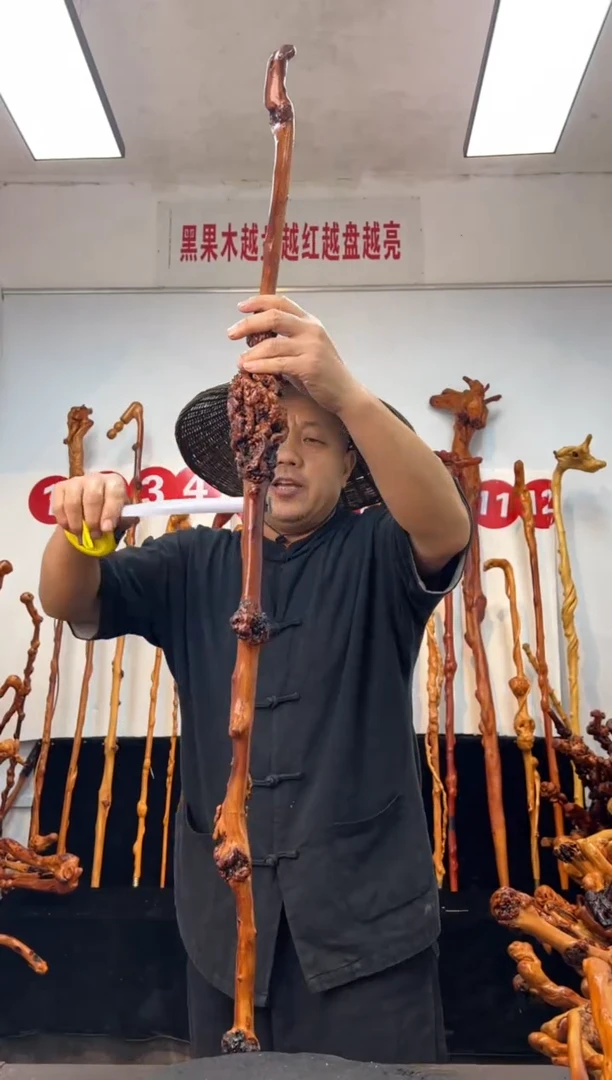 黑果木其他黑果木472