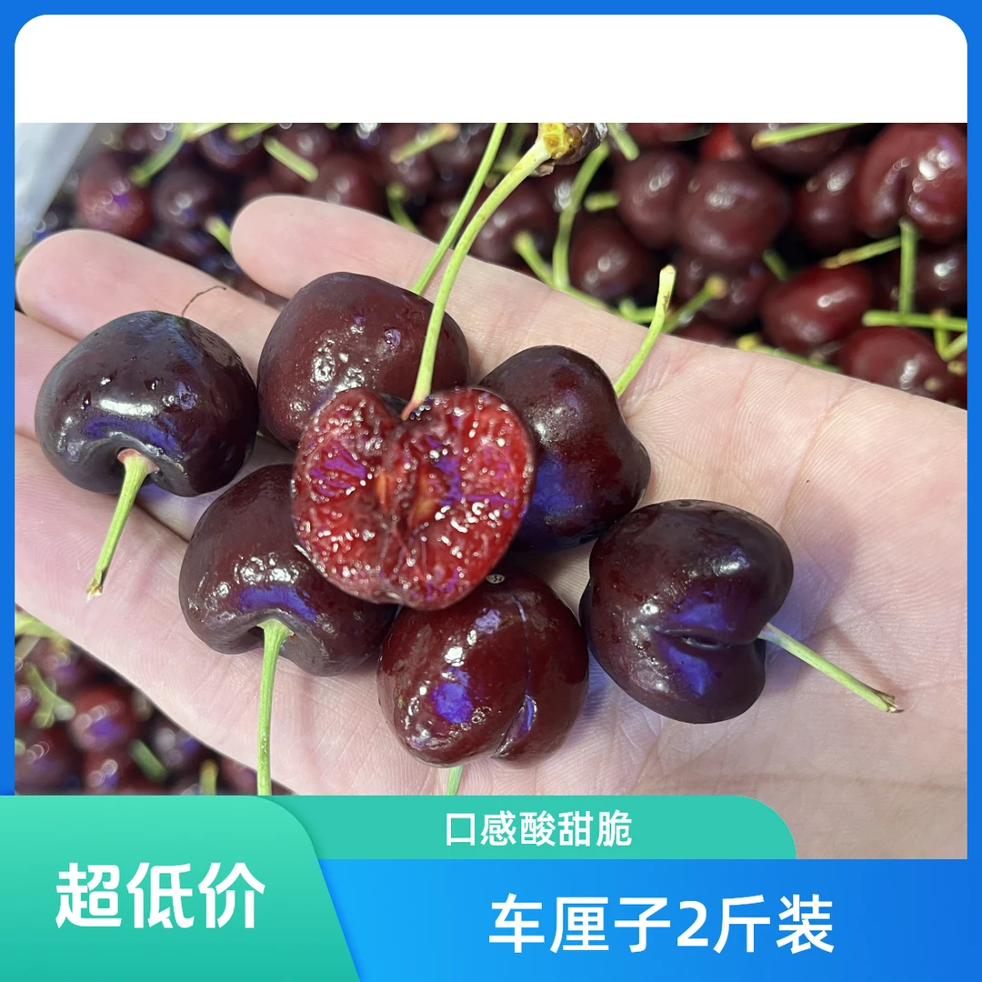 4JD车厘子1斤（500g)