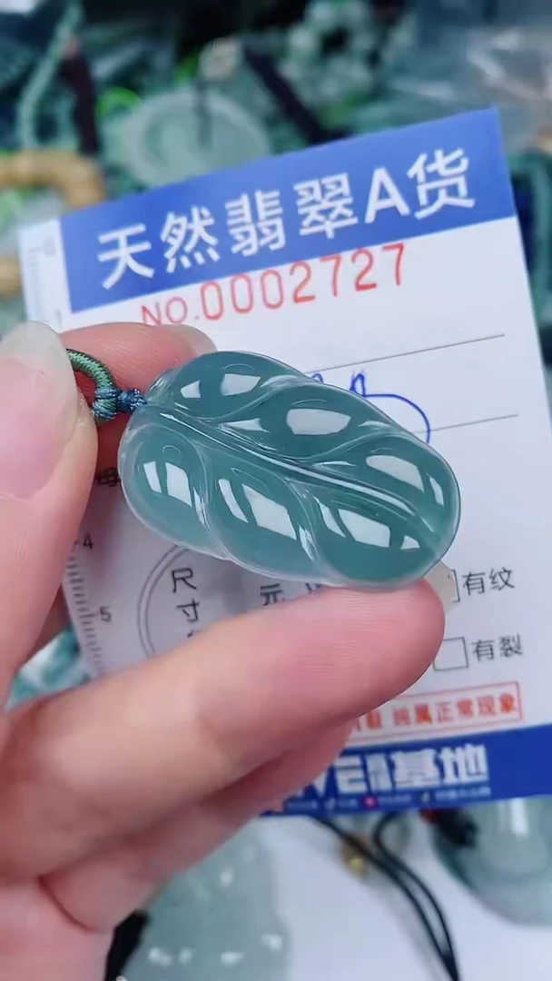 翡翠未镶嵌颈饰00002727