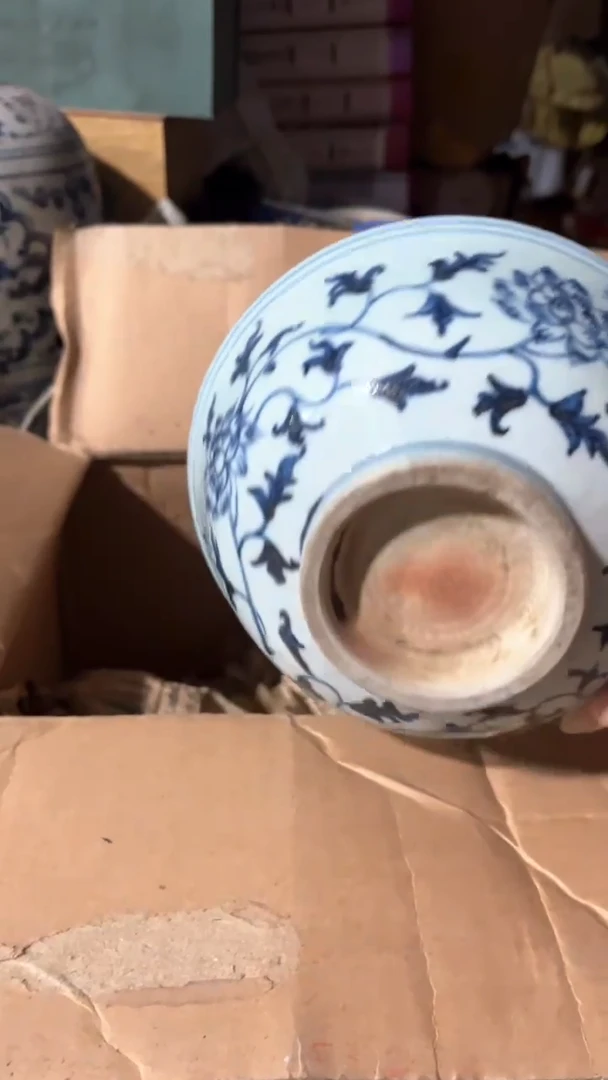 泳*5645565656655665