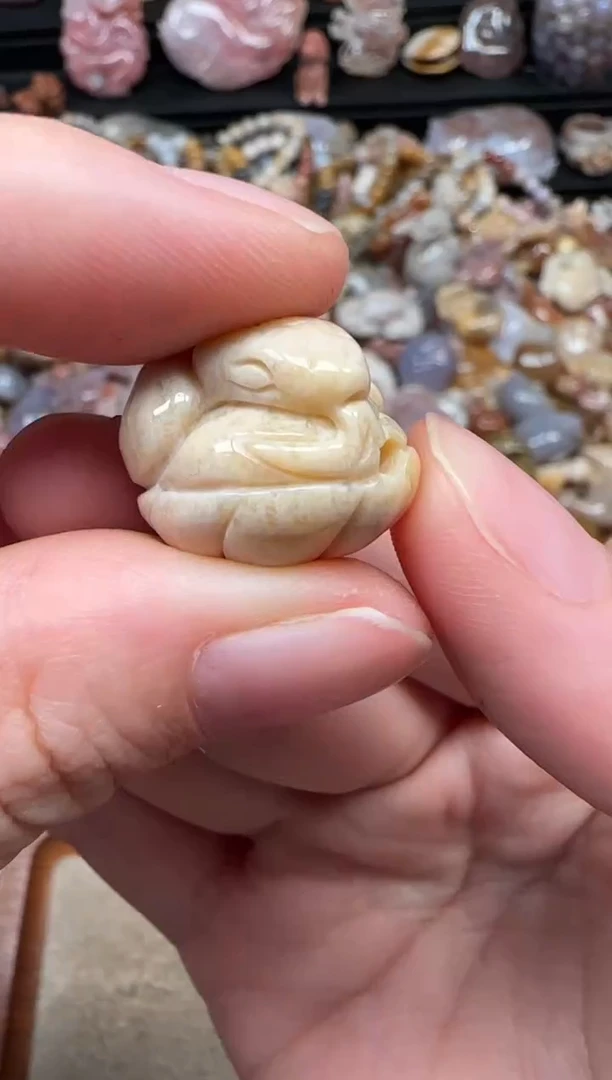 颈饰未镶嵌硅化珊瑚（珊瑚玉）537