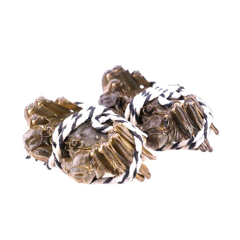 公螃蟹4.0 约200g/只