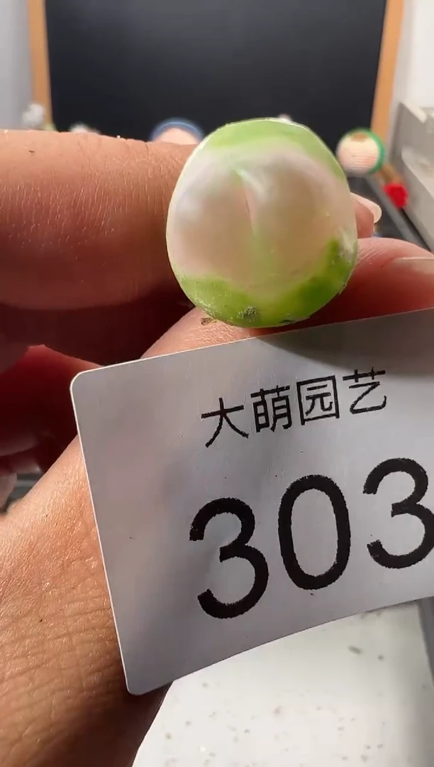 一物一拍        --303