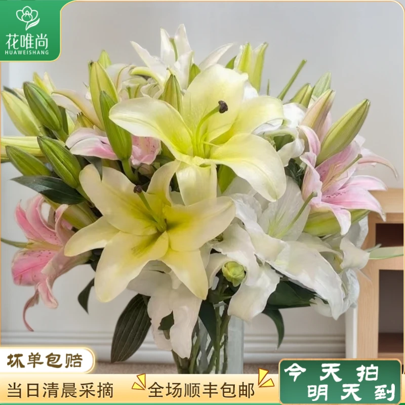 次日达-【五彩百合】6-8个头百鲜花家居花生活合同城配送任意两单升级顺丰包邮三单送随机花瓶一个今天拍明天到