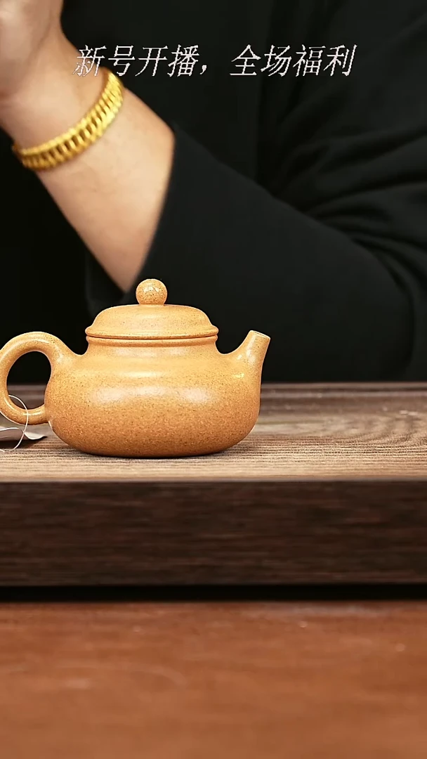 茶壶紫砂27y01黄金段容天