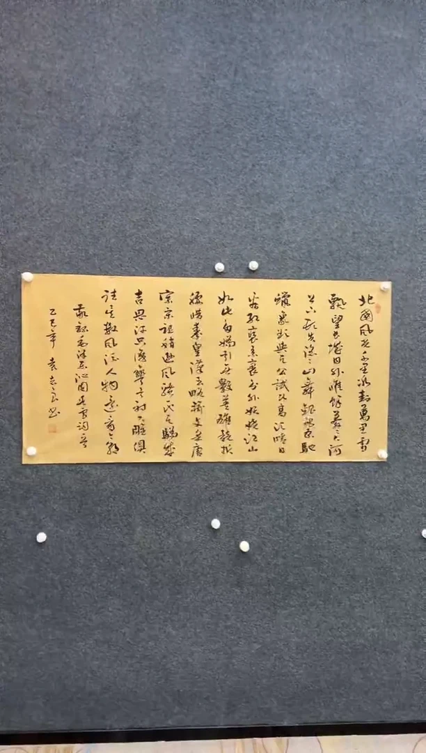 国画袁志良-书法-无国检-009