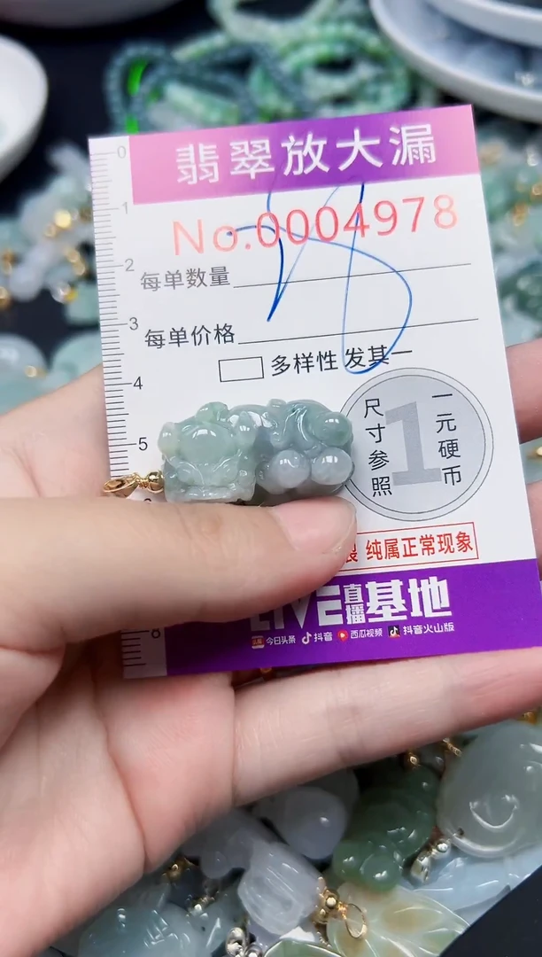颈饰未镶嵌翡翠4978