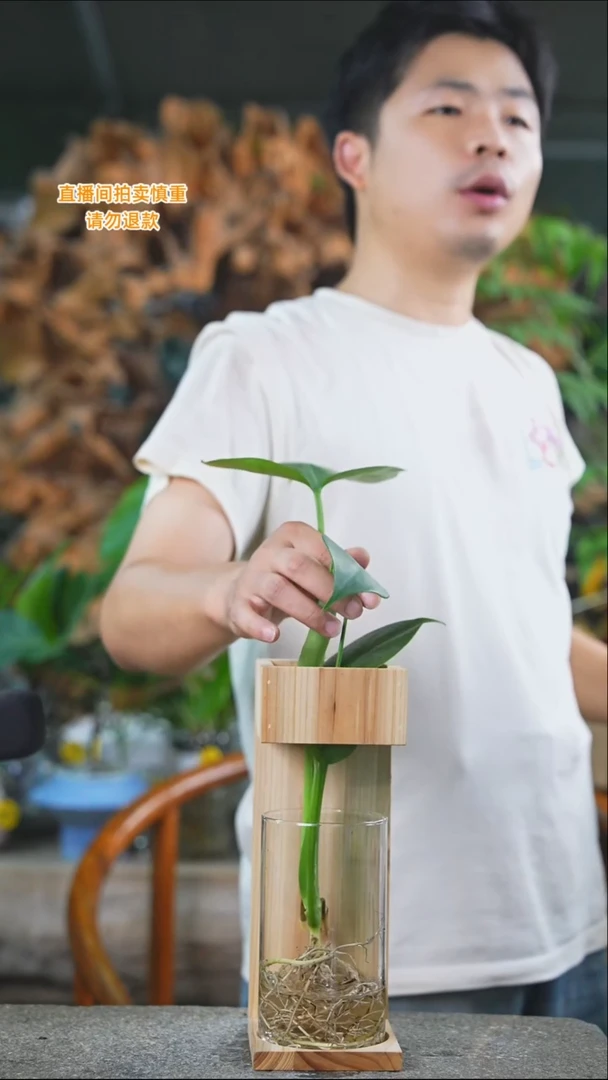 完全开放龟背225T