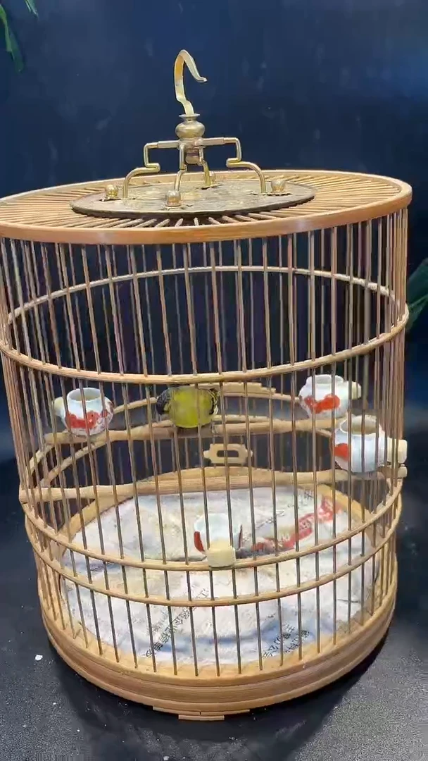 45号 黄雀 养笼  0元起拍