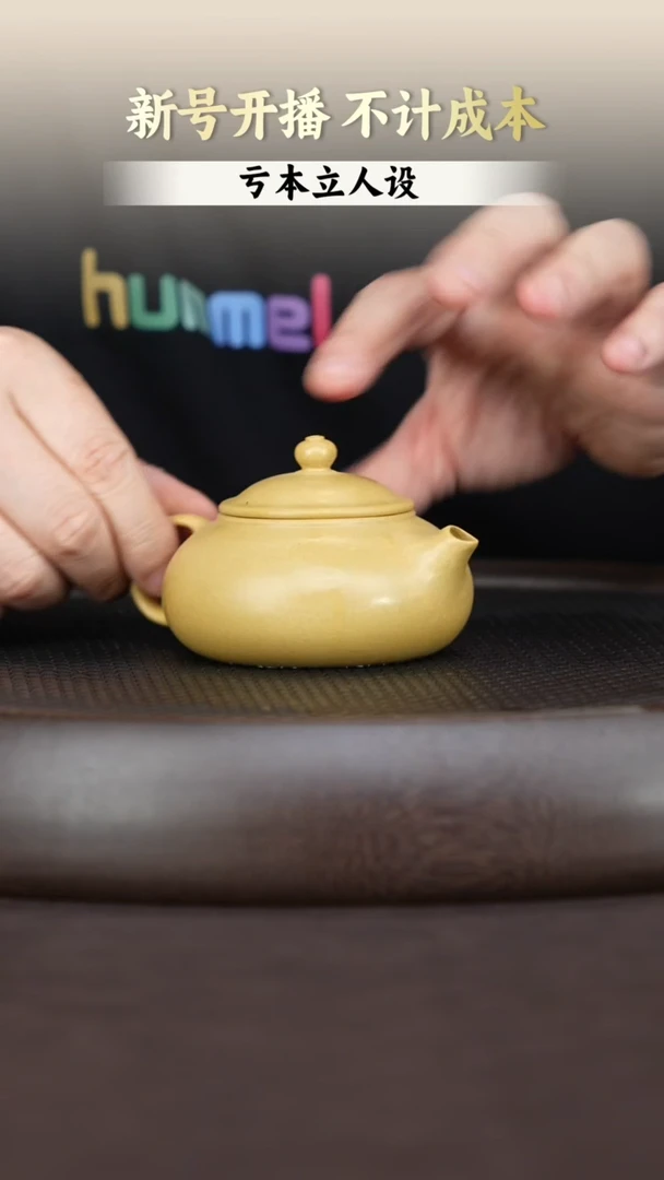 茶壶紫砂本绿云溪