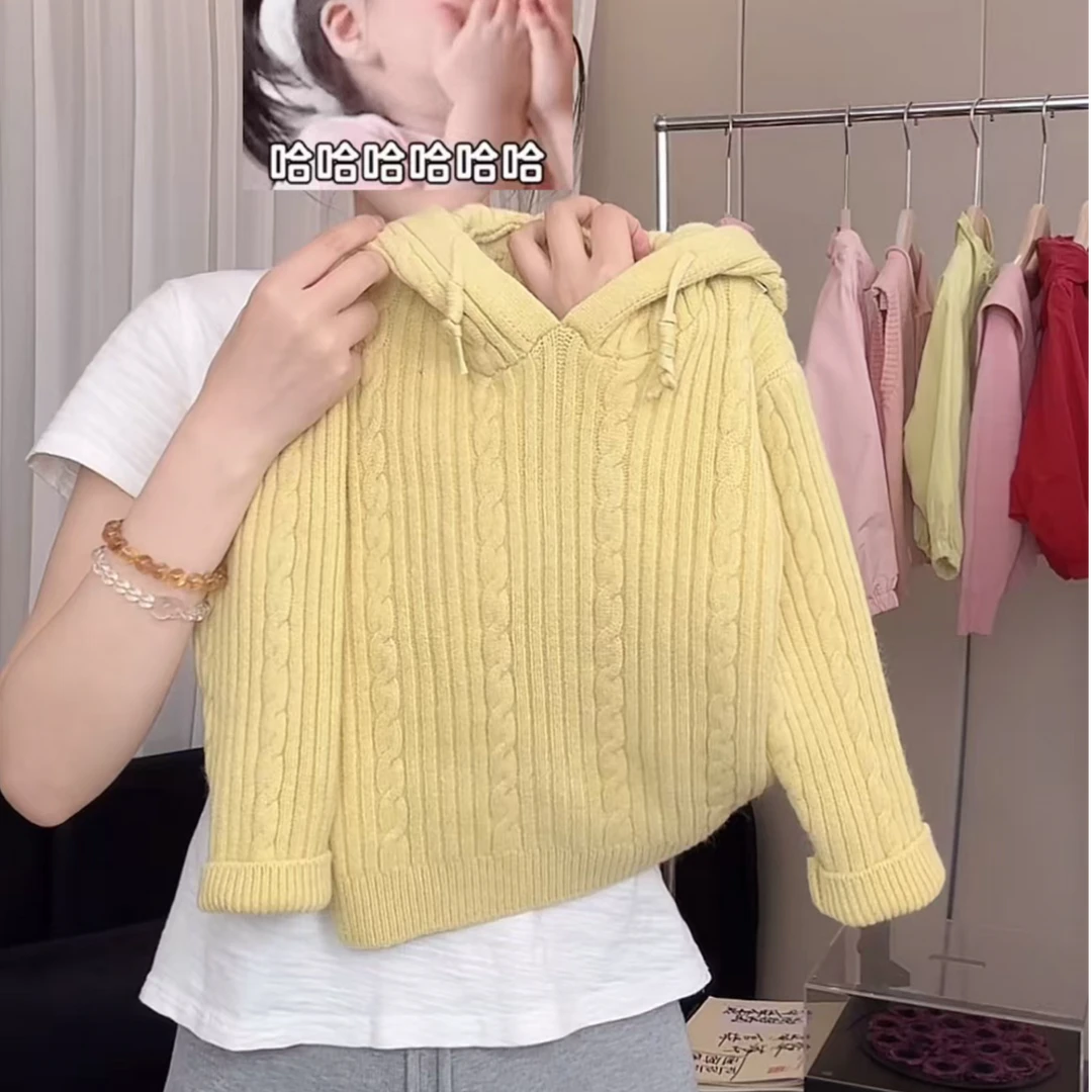 花小花女童毛衣秋冬新款时尚可爱儿童套头上衣外套连帽针织衫