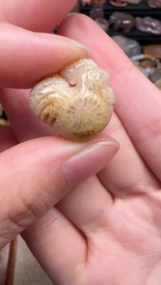 颈饰未镶嵌硅化珊瑚（珊瑚玉）567