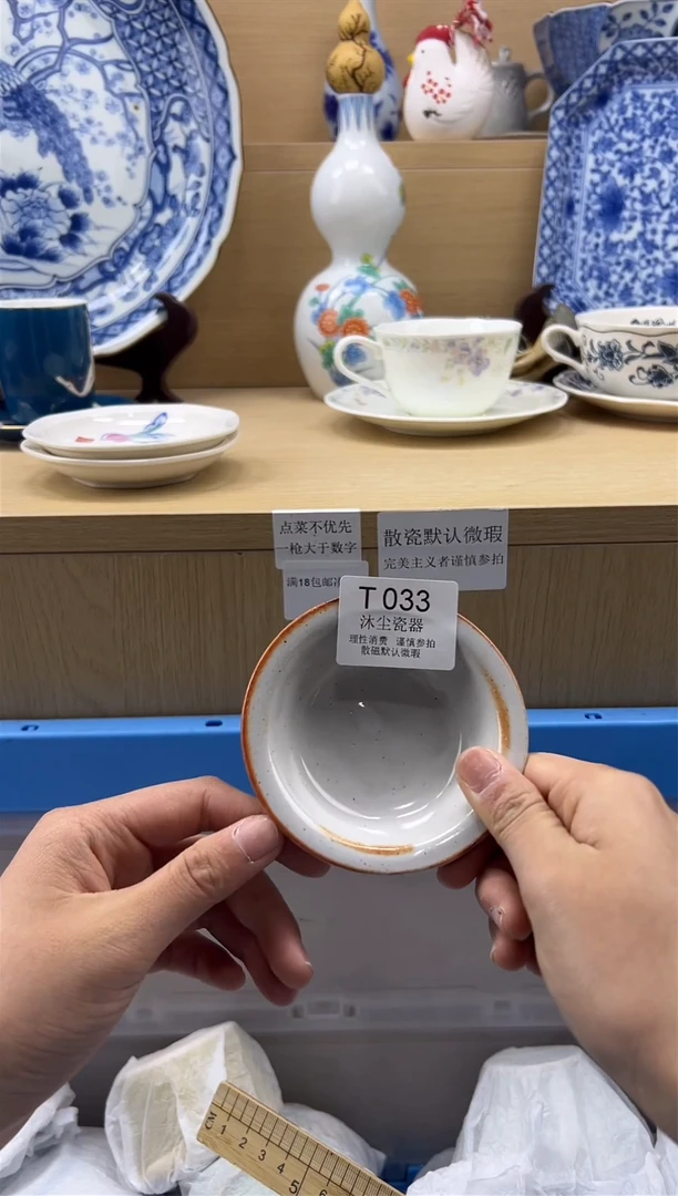 瓷片           T033