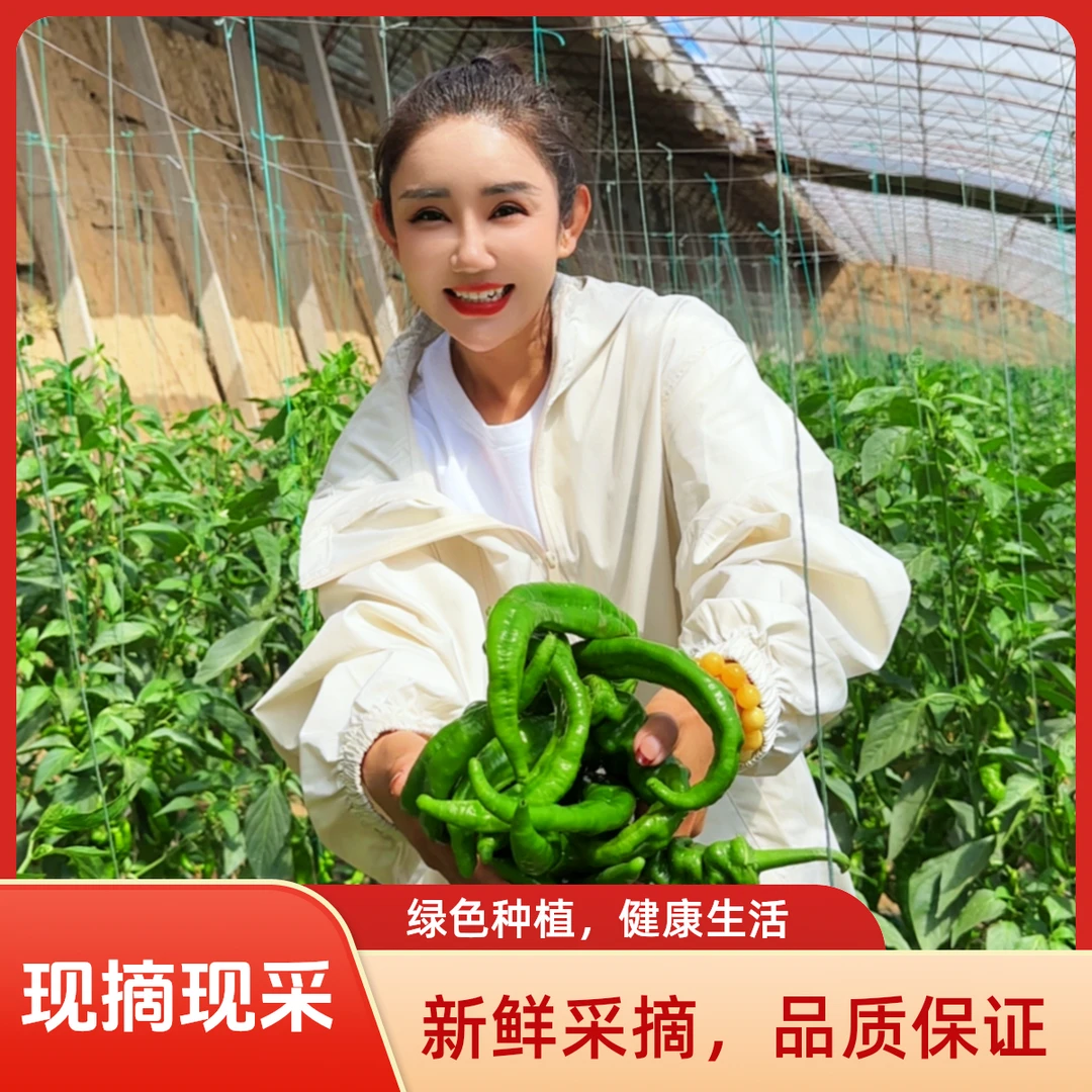 【欣姐优选】螺丝椒现摘现发绿色蔬菜皮薄中辣产地直发包邮