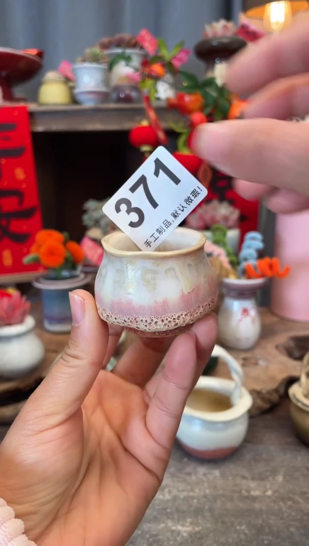 【闪购商品】摆件371知木小芳花盆