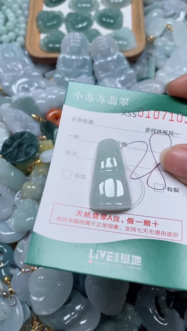 【闪购商品】翡翠颈饰未镶嵌闪购商品0107103