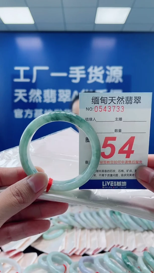 未镶嵌手镯翡翠10天然翡翠手镯