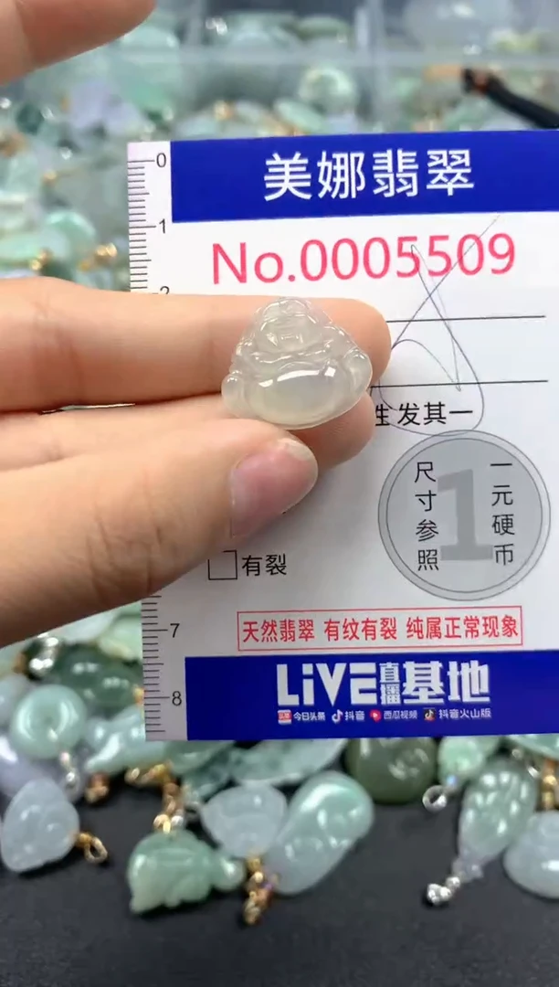 颈饰未镶嵌翡翠5509