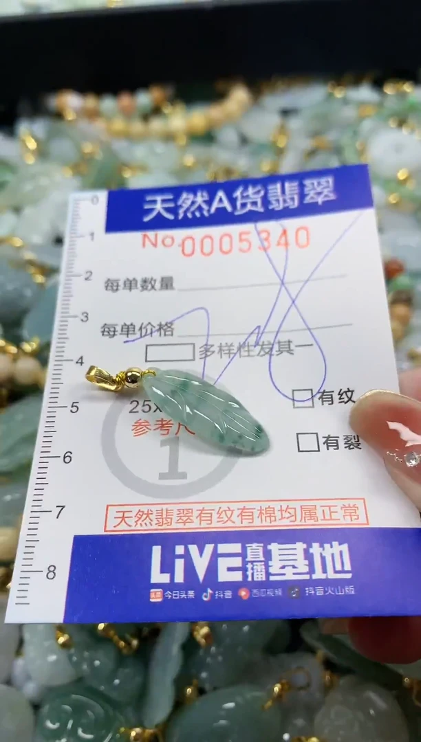 颈饰未镶嵌翡翠天然A货翡翠