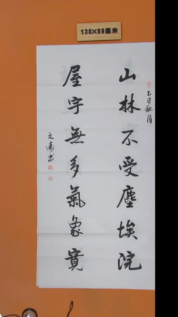 书法辛老师书法陕西西安138*69