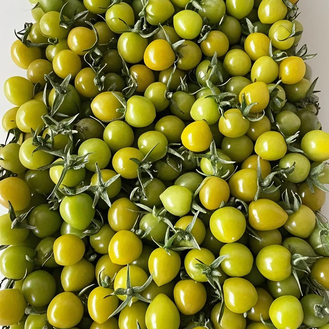 绿宝石小番茄梦想青甜纯甜皮薄爆汁顺丰产地直发圣女果绿色樱桃