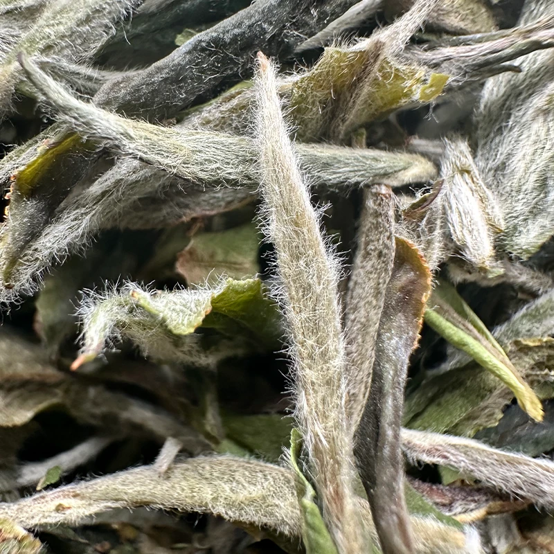 【双十一专享】康潮一品2022年水兰印 芳华第二批青 兰花香白毫银针