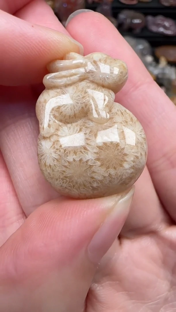 颈饰未镶嵌硅化珊瑚（珊瑚玉）270