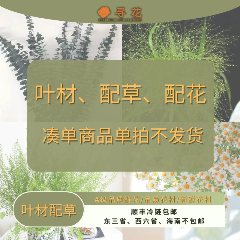 叶材-配花-配草-云南鲜花-云南昆明基地直采直发