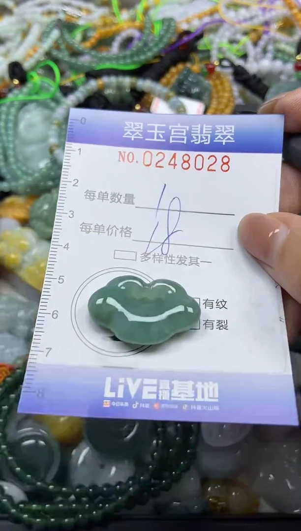 颈饰未镶嵌翡翠闪购C0248028