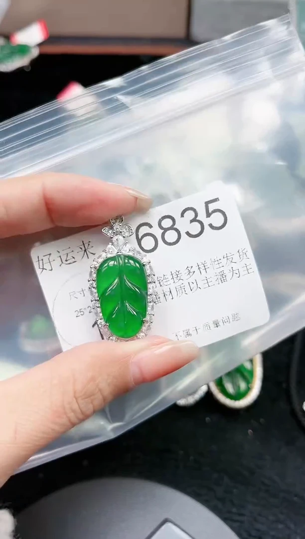 【闪购商品】翡翠颈饰未镶嵌6835赠皮绳