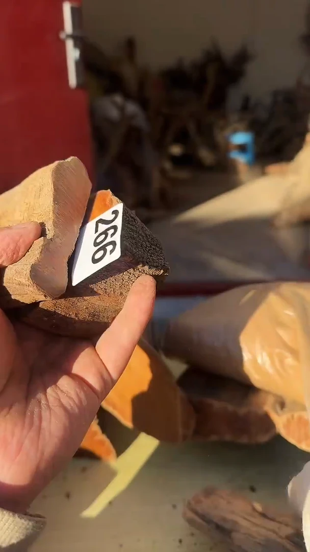 柏木（崖柏）太行陈化崖柏切片！随机一片！（1单3片）266