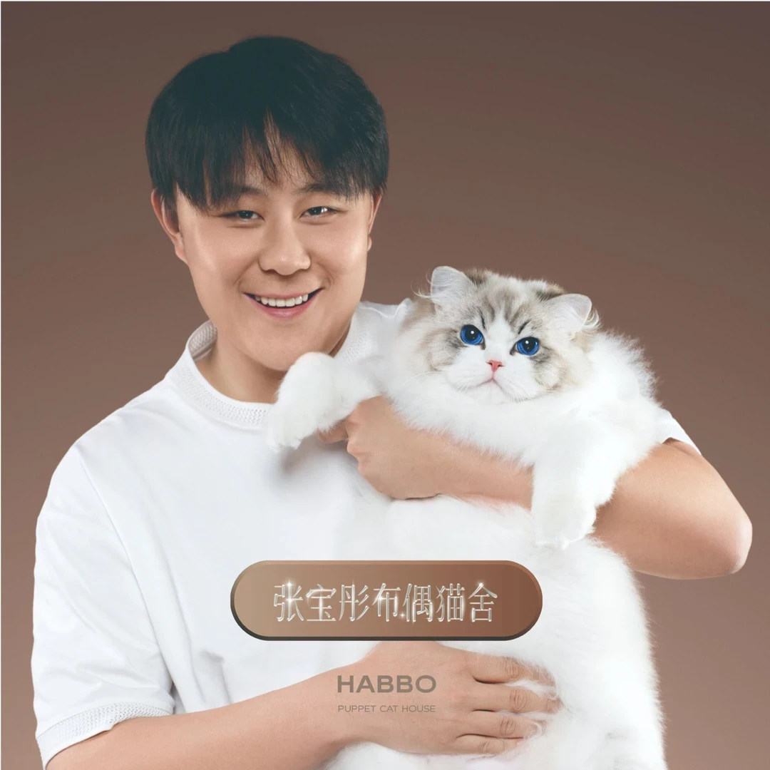 张宝彤布偶猫舍通用全款链接【接小猫咨询客服】