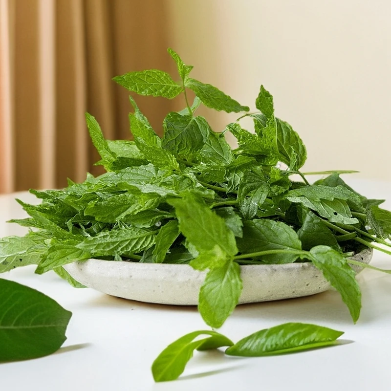 薄荷叶 100g【好东西】