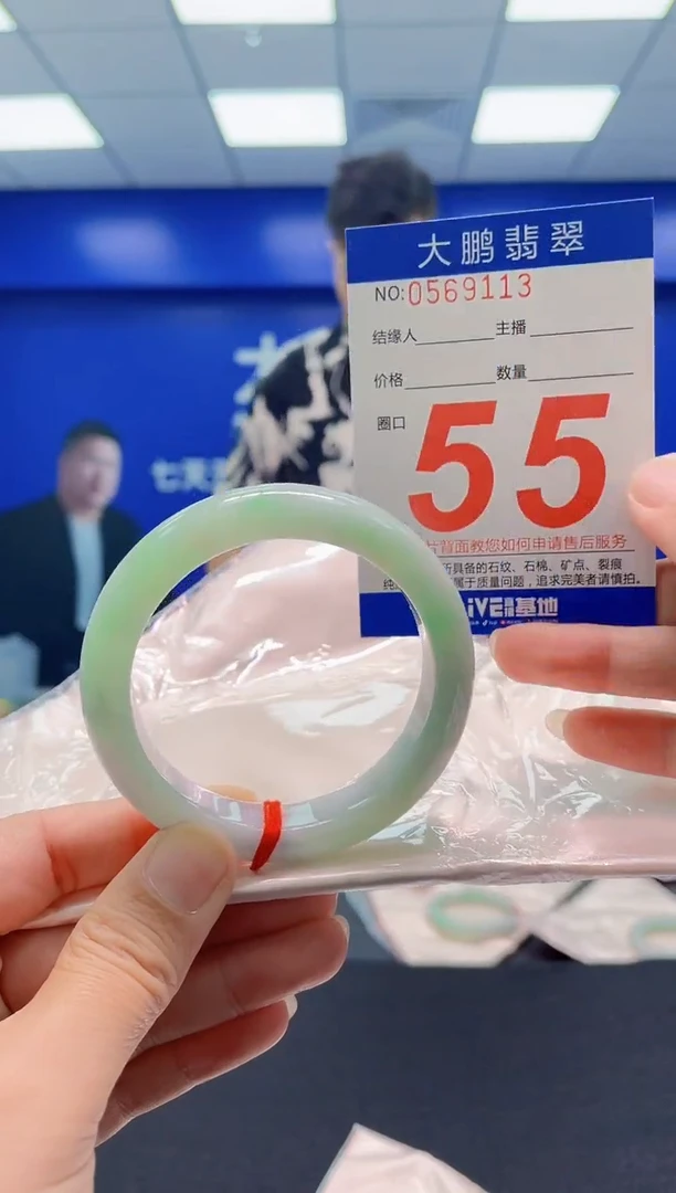 未镶嵌手镯翡翠AAAAAAAAA