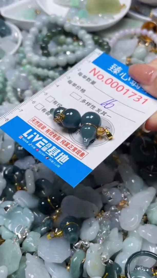 颈饰未镶嵌翡翠1731