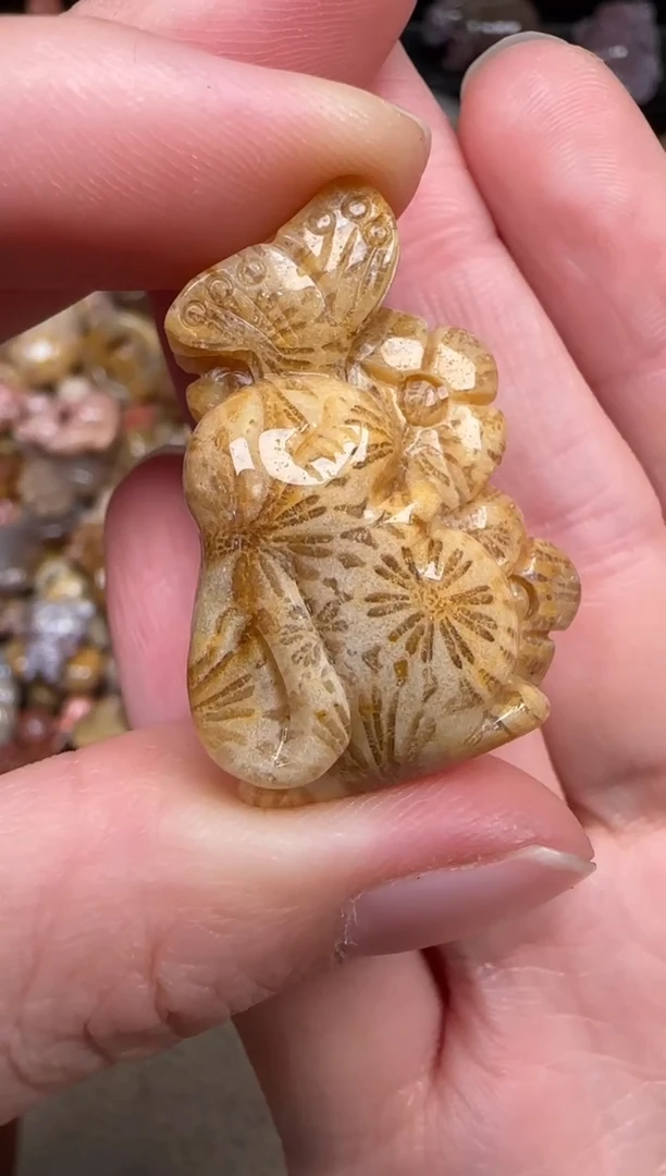 硅化珊瑚（珊瑚玉）未镶嵌颈饰833