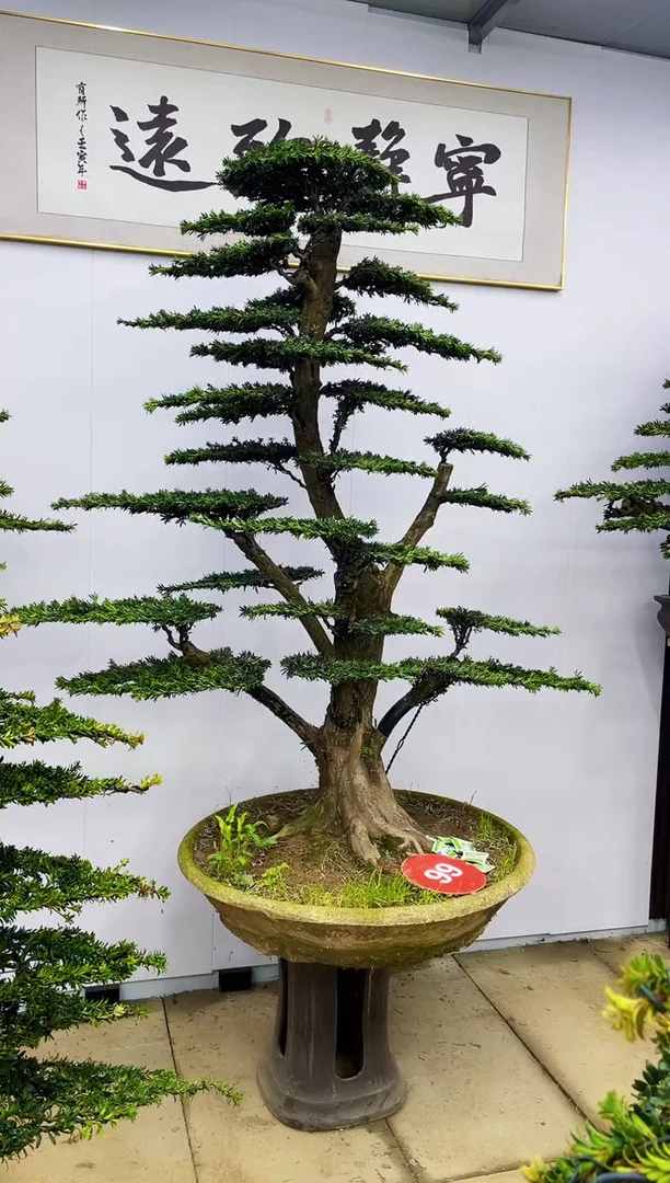 【闪购商品】000000000