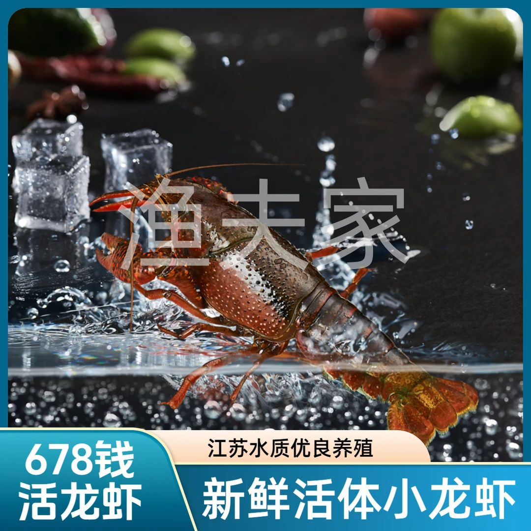 活虾678钱小龙虾鲜活3斤装特大新鲜活虾江苏麻辣清水虾稻田虾生鲜