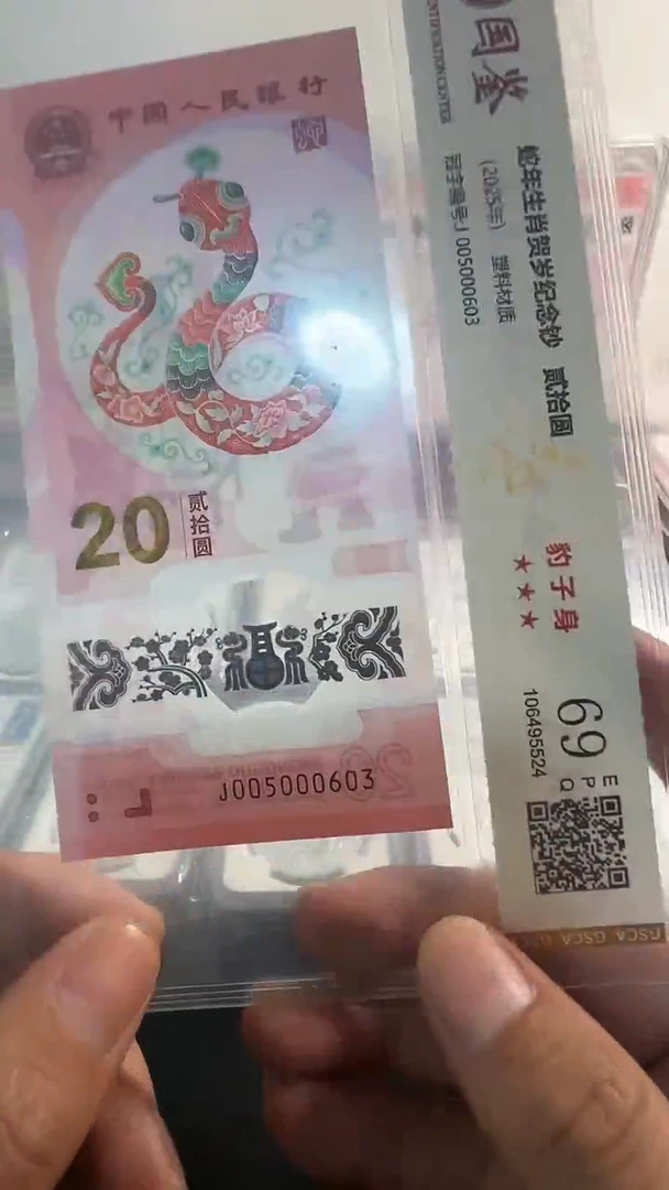 塑料00500603无47六龙珠蛇钞